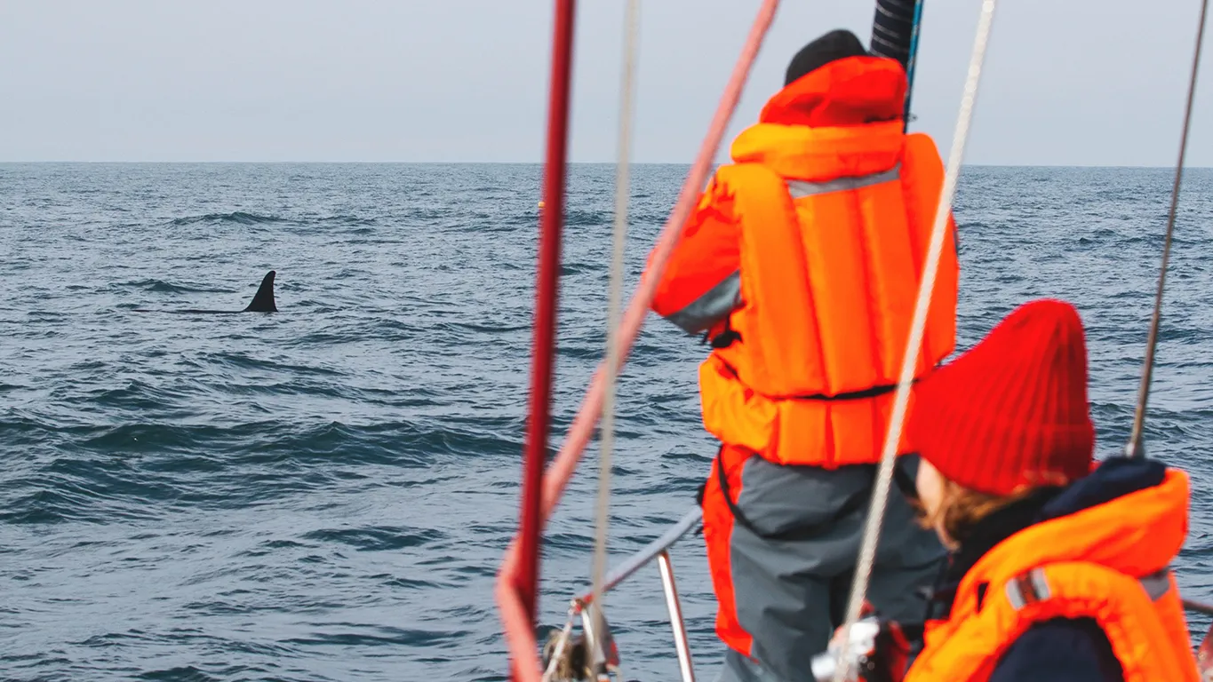 Командорские острова