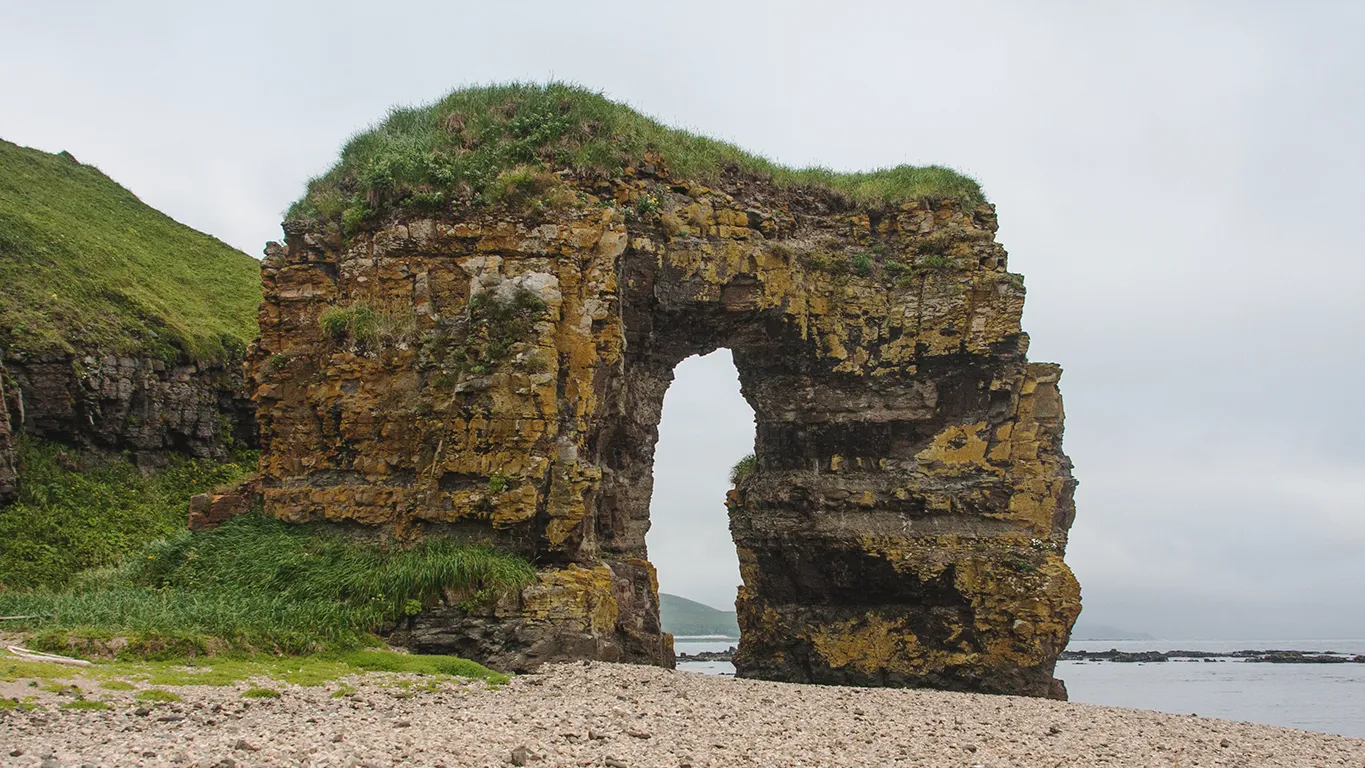 Арка Стеллера