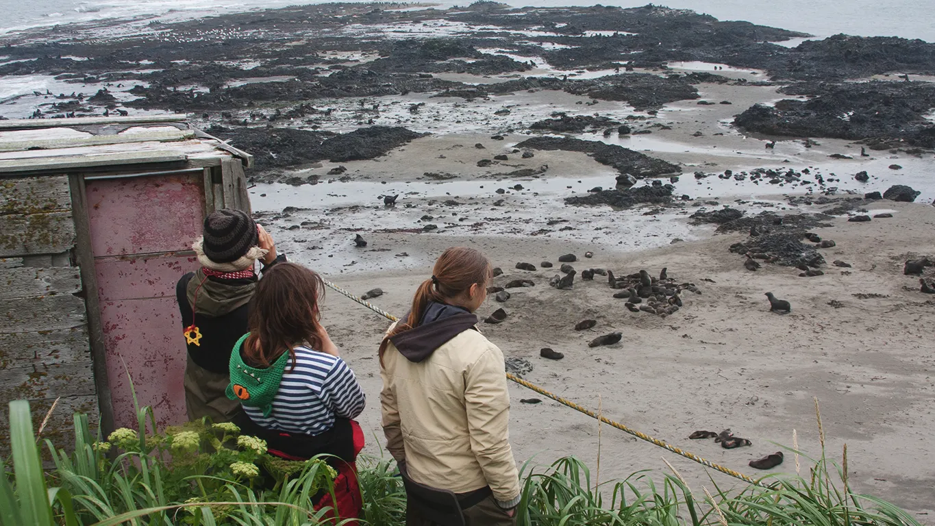 Командорские острова