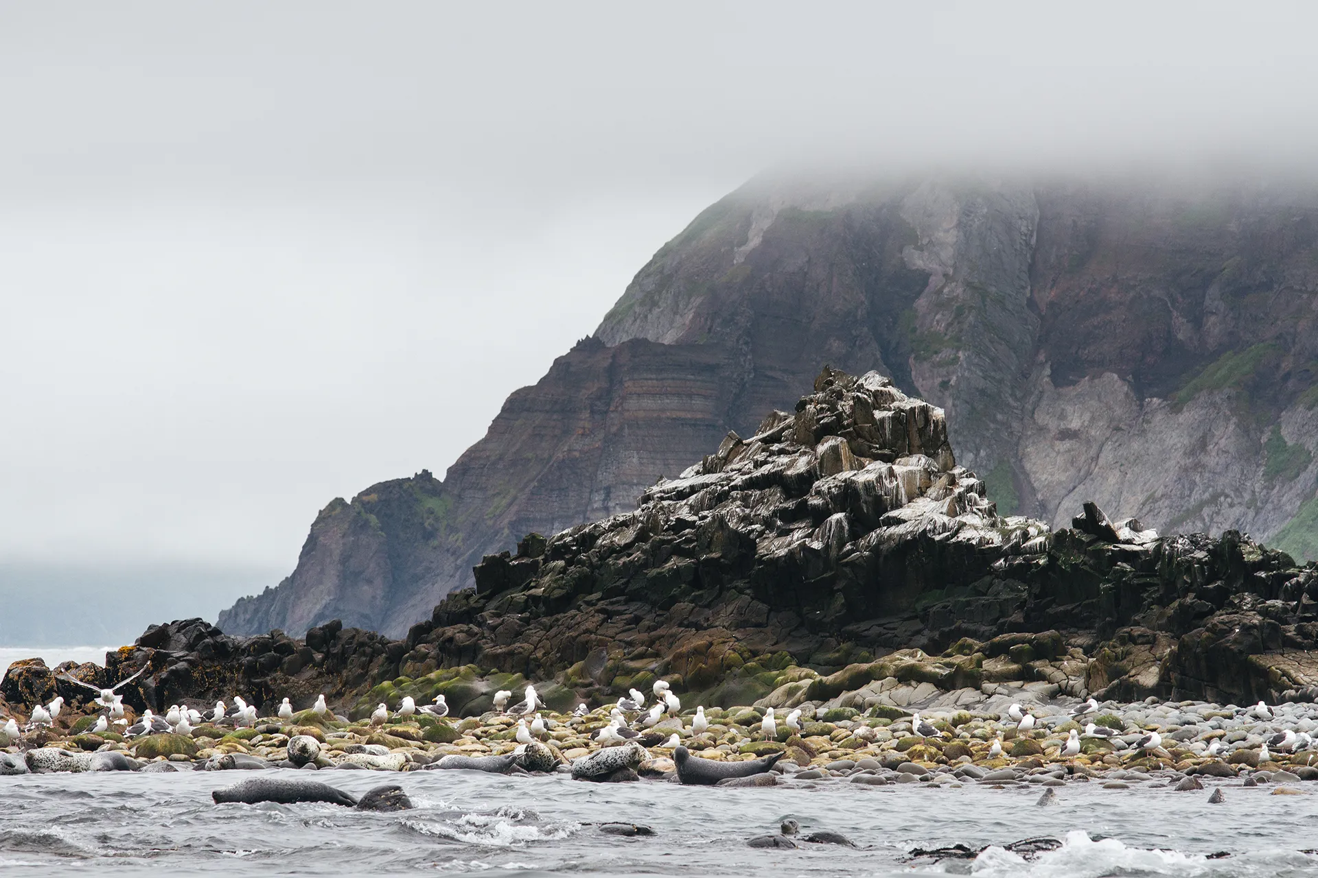 Курильские острова