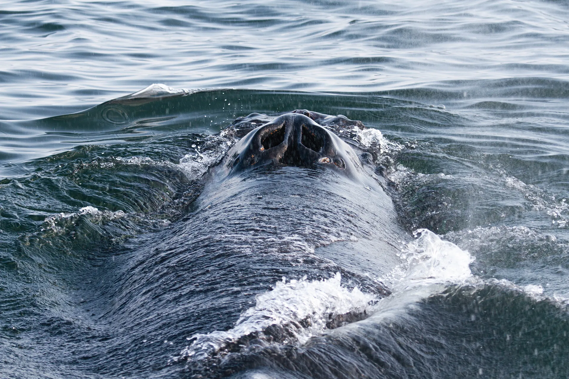 Курильские острова