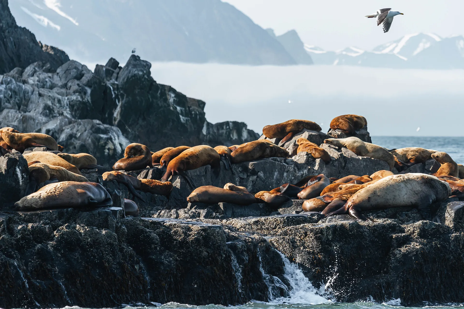 Курильские острова