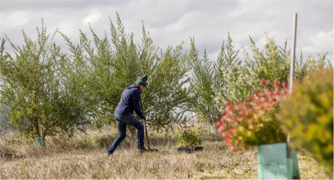 A farmer working on the land