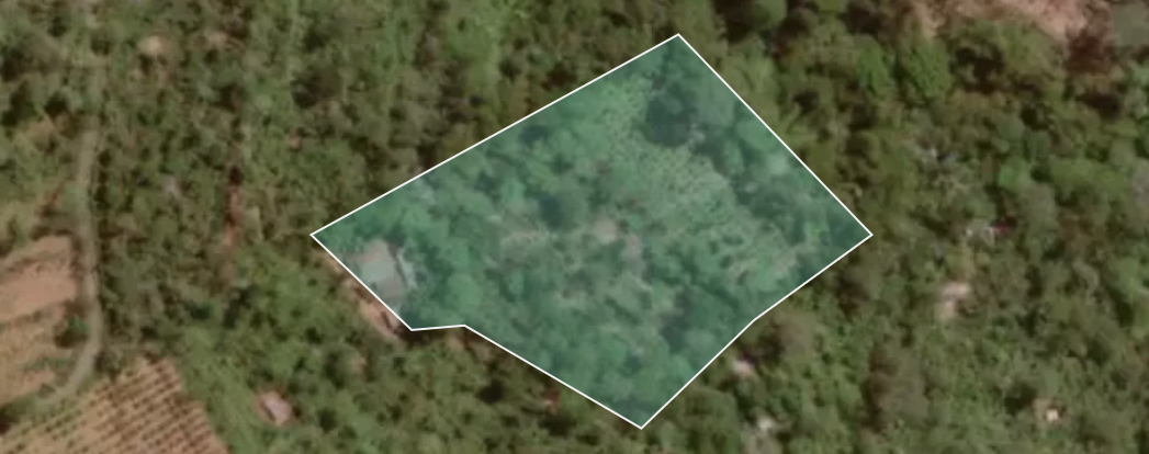 A map view of this project's geographical coordinate area
