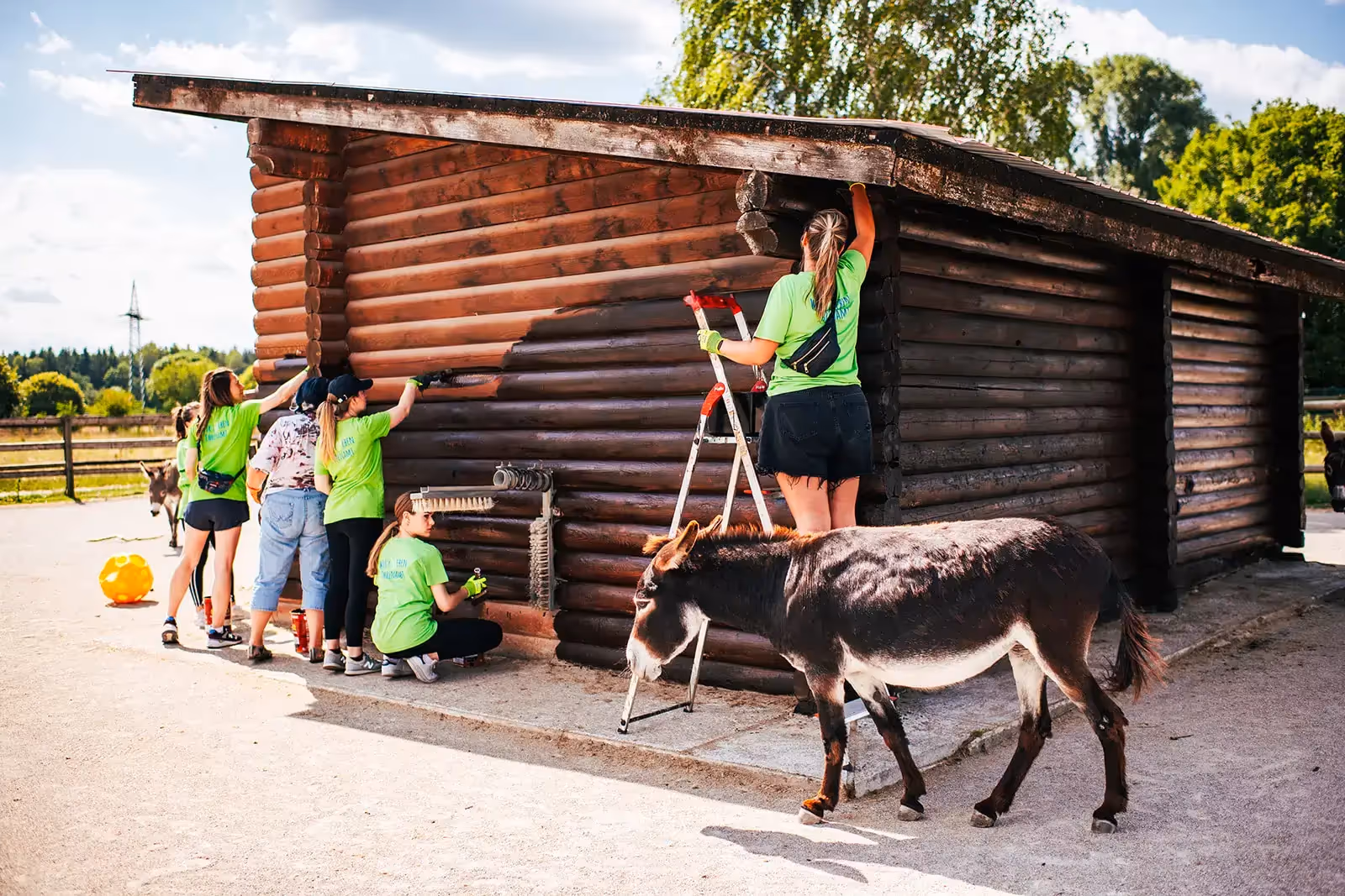 Mitarbeiter beim Social Day die einen Stall anstreichen.
