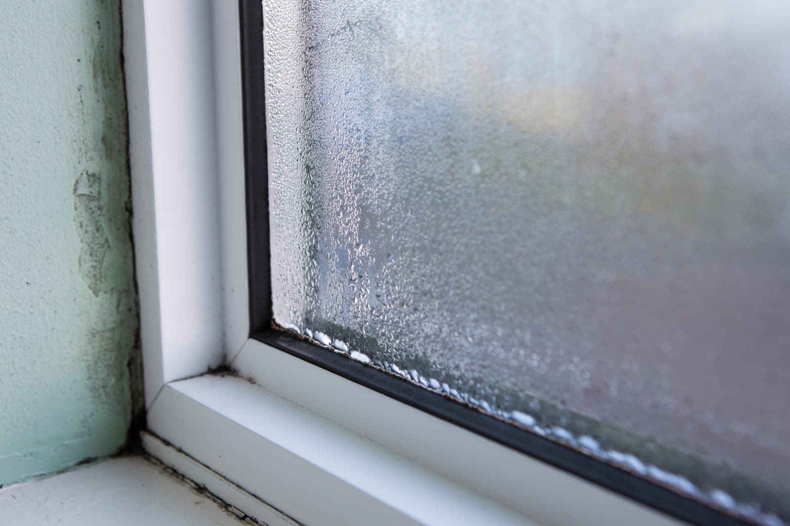 Condensation on window pane