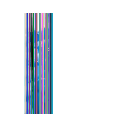 Zbity ekran Apple Watch