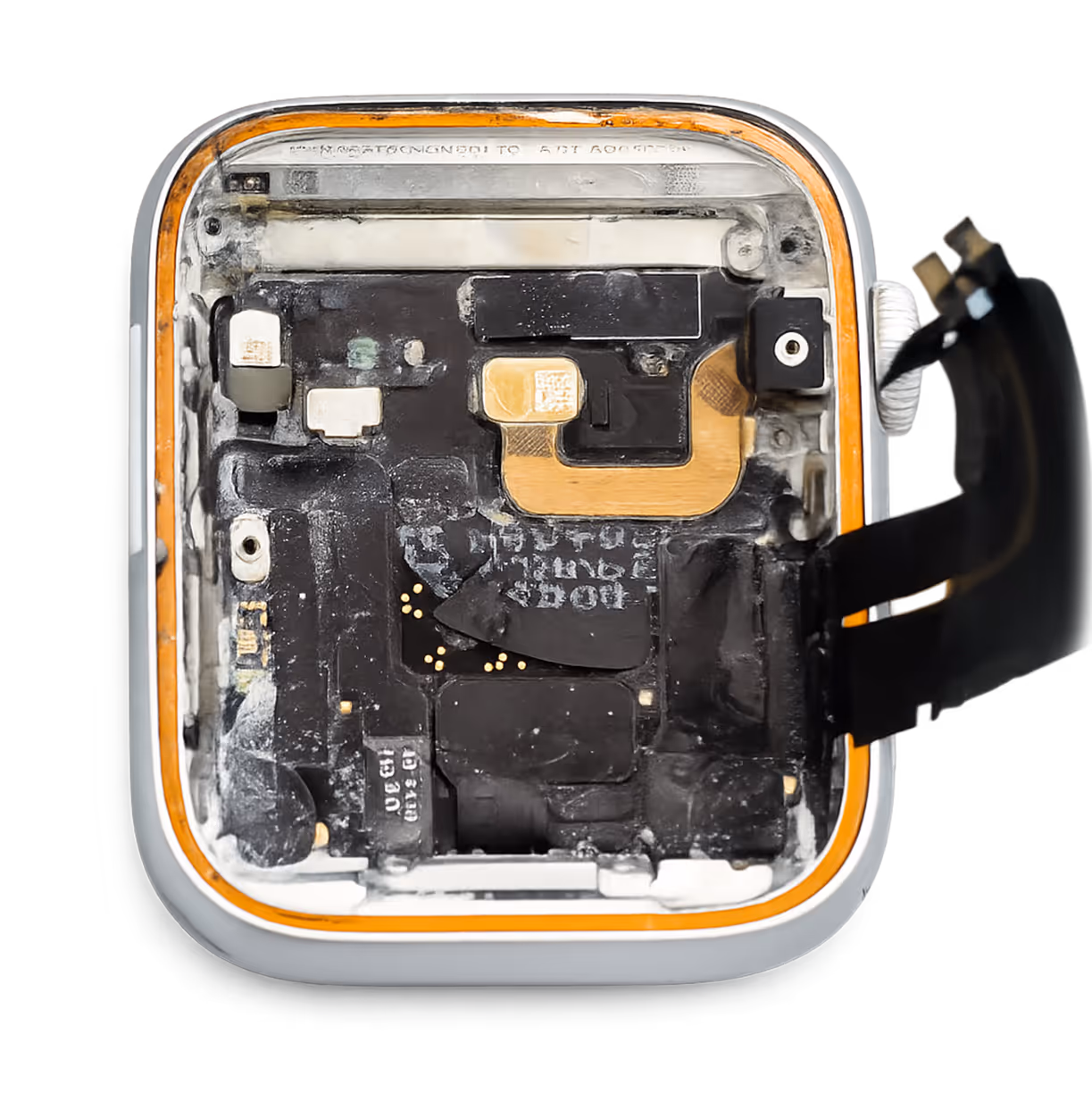 Czyszczenie Apple Watch po zalaniu w serwisie MacLab w Gdyni