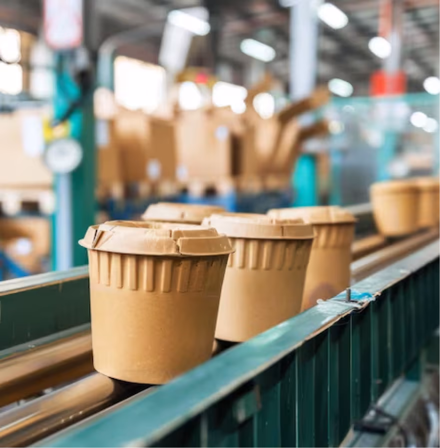 Cardboard containers on a conveyor belt in a packaging factory
