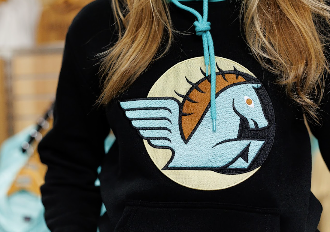 Black hoodie with a colorful embroidered Pegasus emblem featuring a blue winged horse with a brown mane against a circular background.