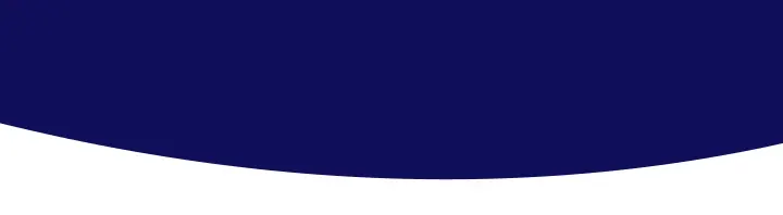 Bottom Curve Vector