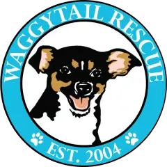 Waggytail Resuce Logo