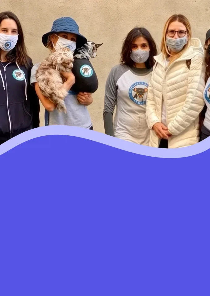 Waggytail Rescue Background