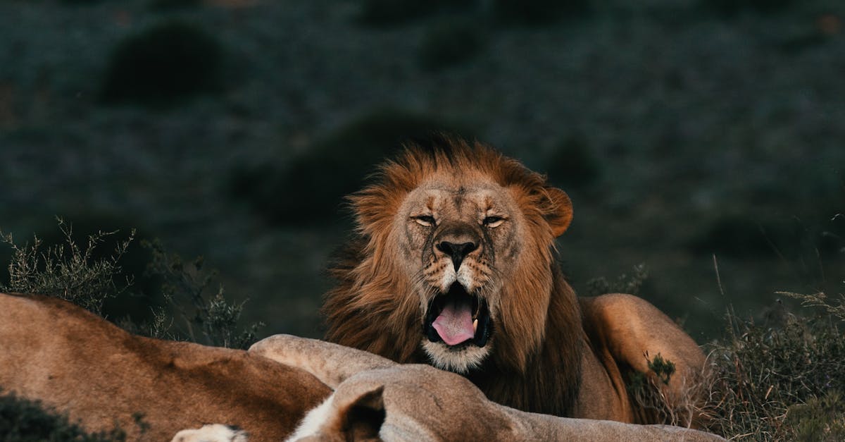 How To Send Healing Energy To Twin Flame?