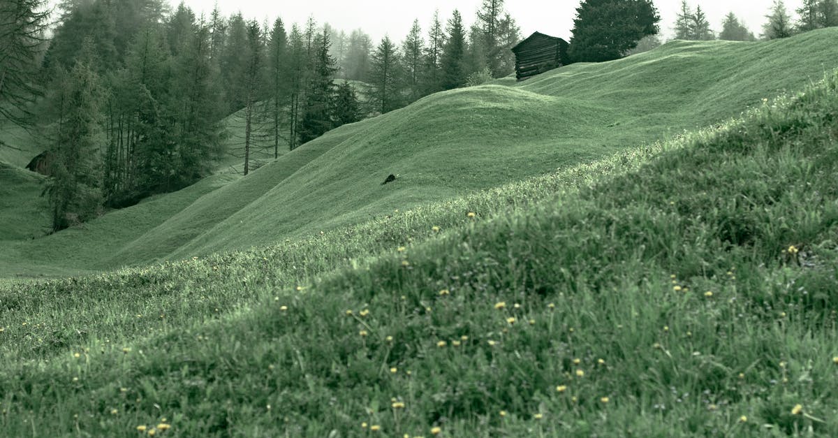 How To Test If I Am An Energy Healer?