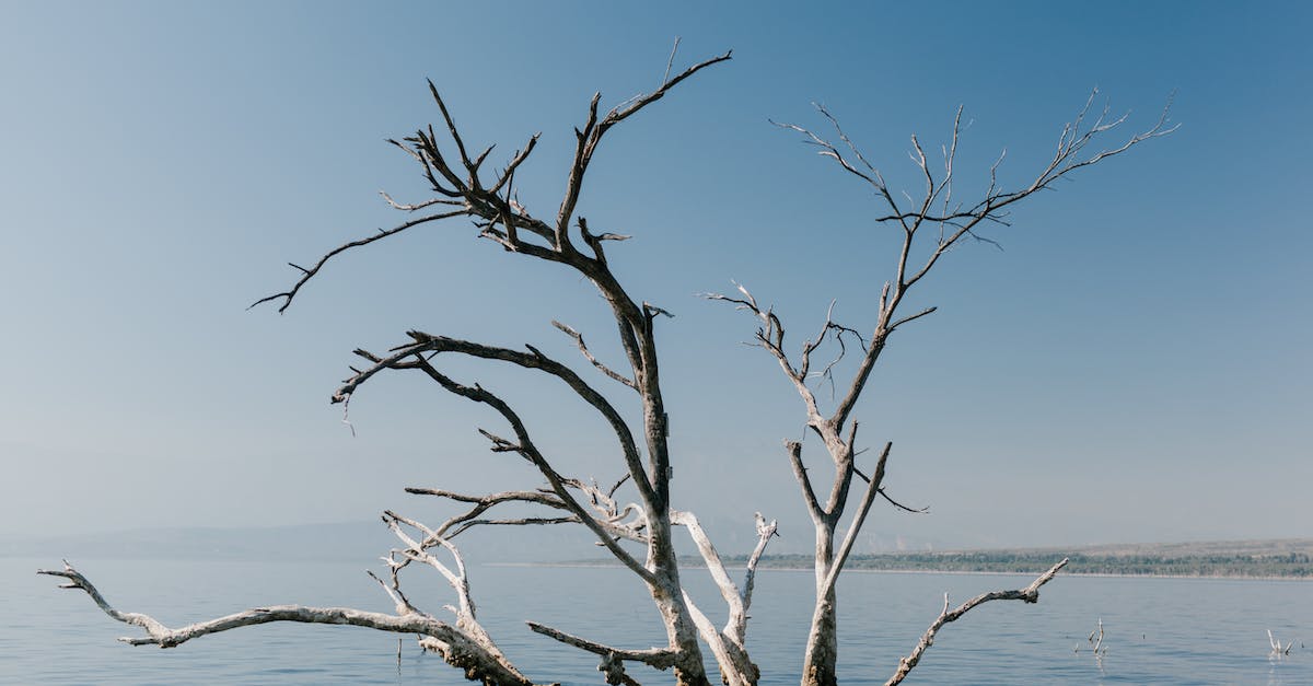 What Kind Of Energy Healing Other Than Reiki?