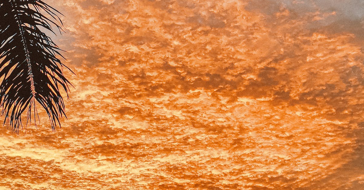 What To Look For In An Energy Healer?