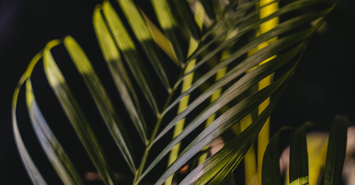 How To Send Healing Reiki Energy To A Resistant Person?