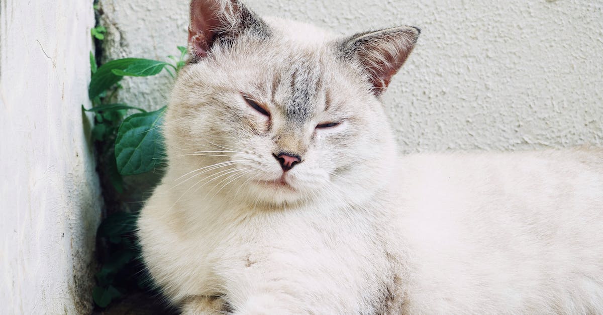 How You Learn Energy Healing?