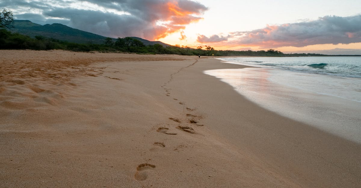 Is A Rife Machine Energy Healing?