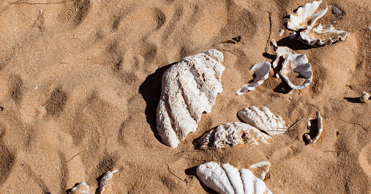 Is Biofeedback Considered A Fromof Energy Healing?