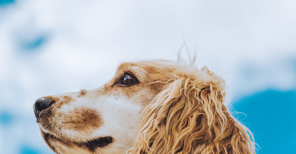 Is Energy Healing A Part Of Medical Programs?