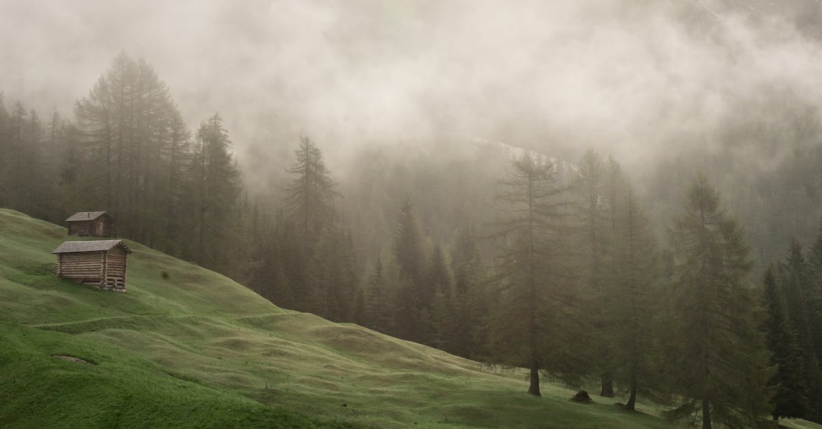 Is Peter Levine Energy Healing?