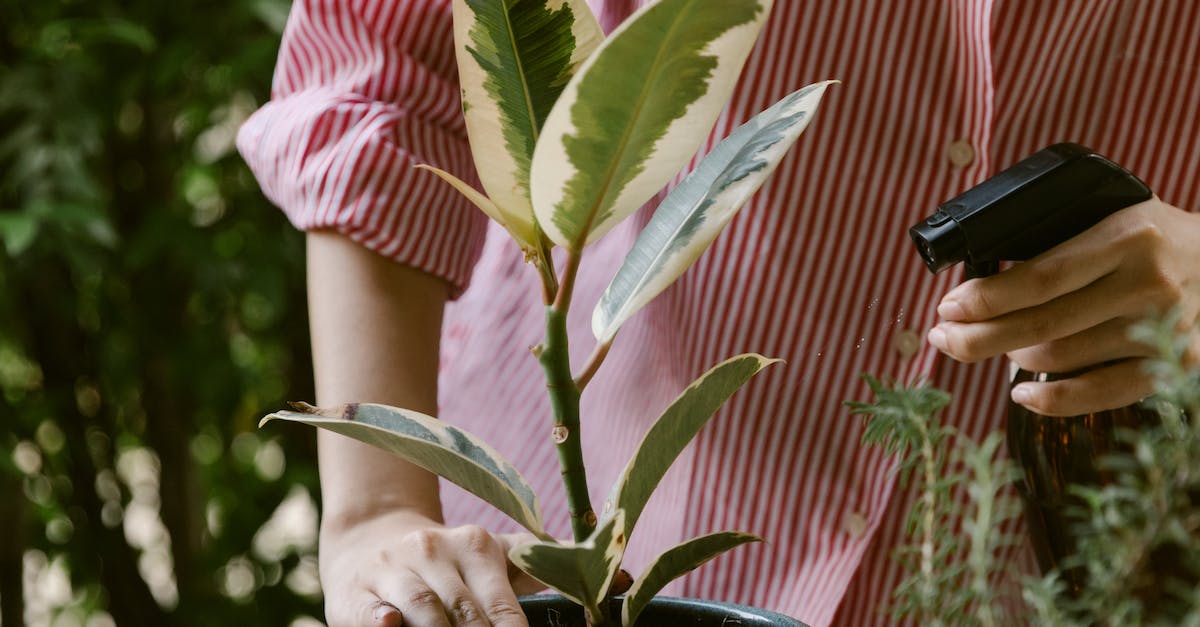 What Does Insurance For An Energy Healer Cover?