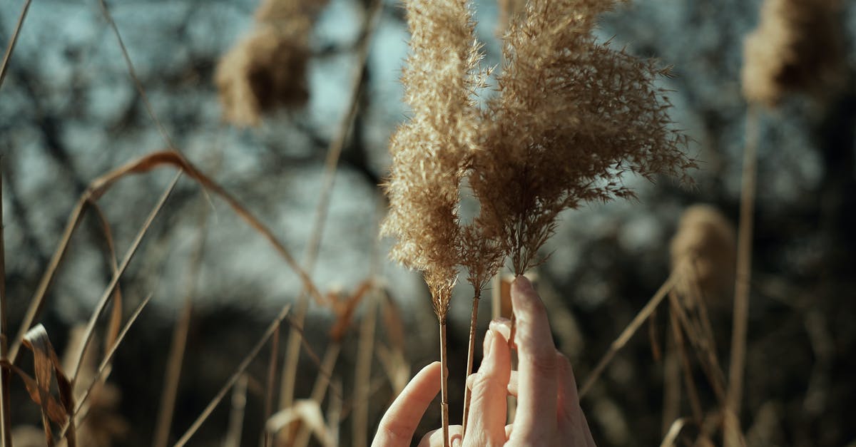 What Does Indigo Do In Energy Healing?