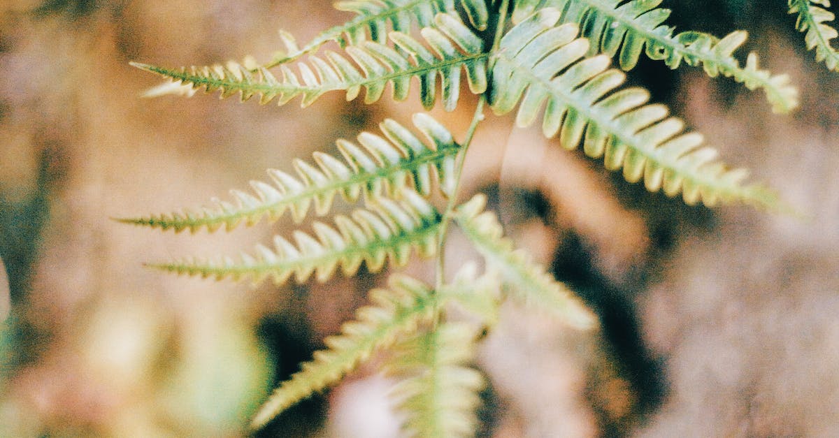 What Energy Is Used In Energy Healing?