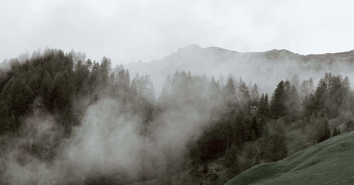 What Is A Bio Energy Healer?