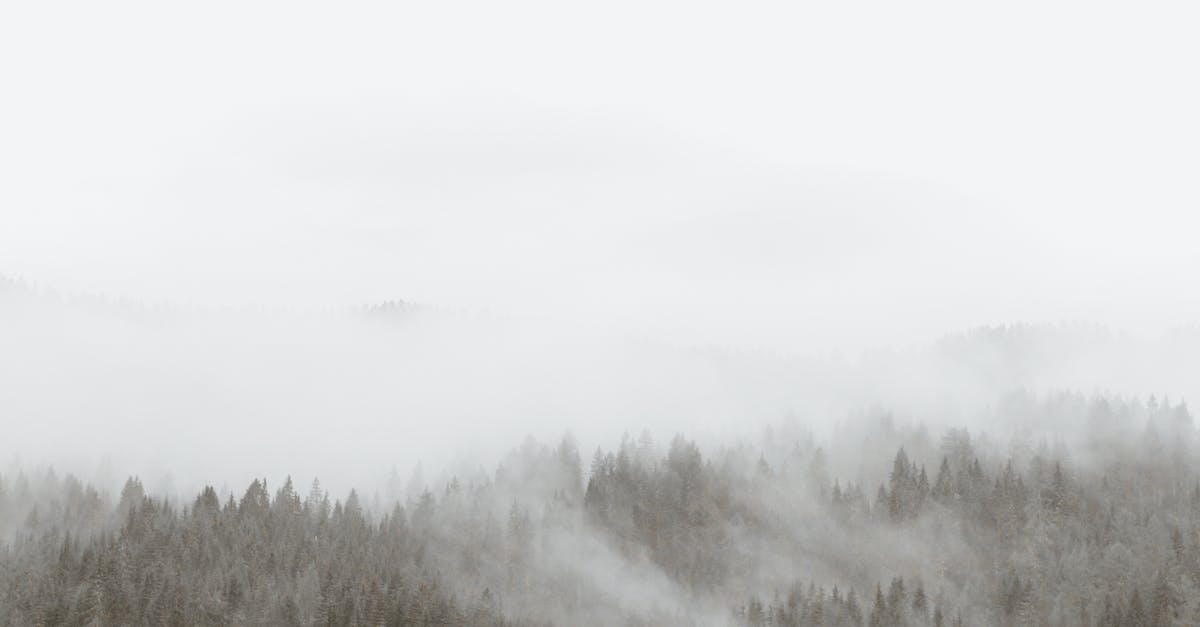 What Is Energy Healing Medium?