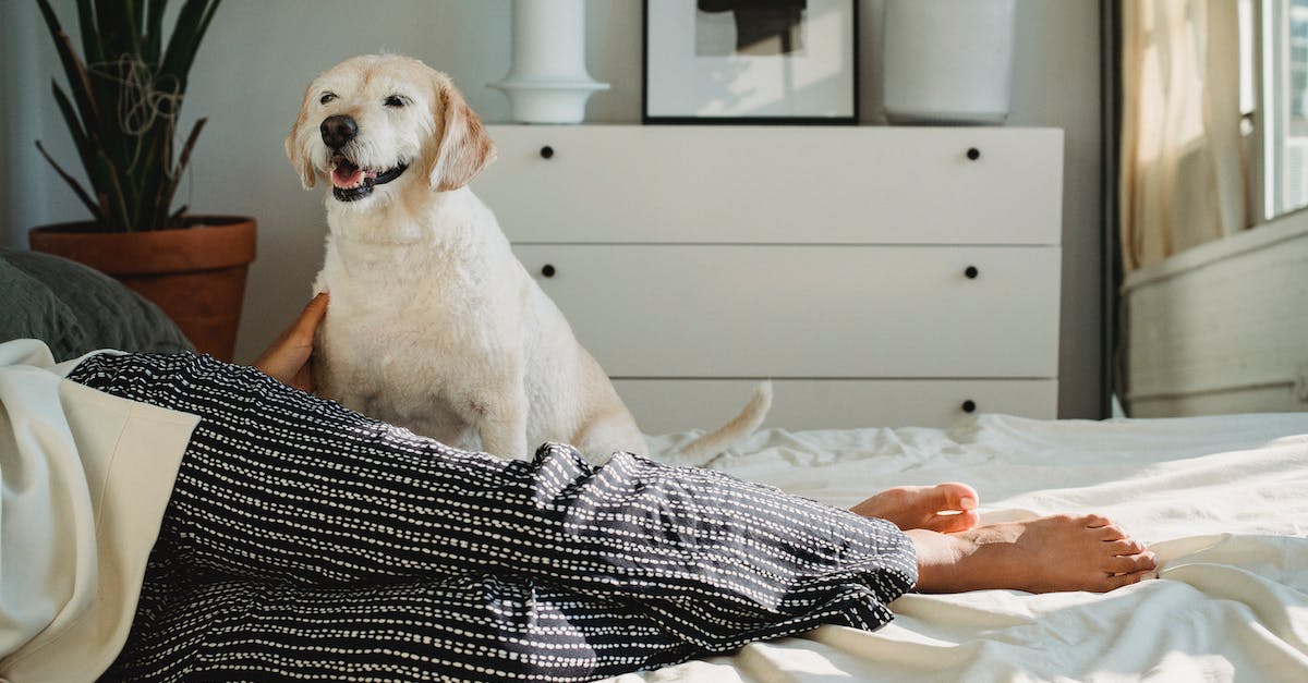 What Type Of Energy Healer Am I?