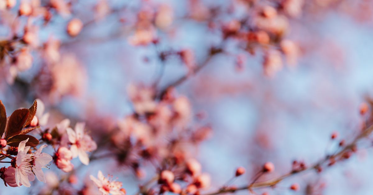 Where To Offer Energy Healing Long Distance?