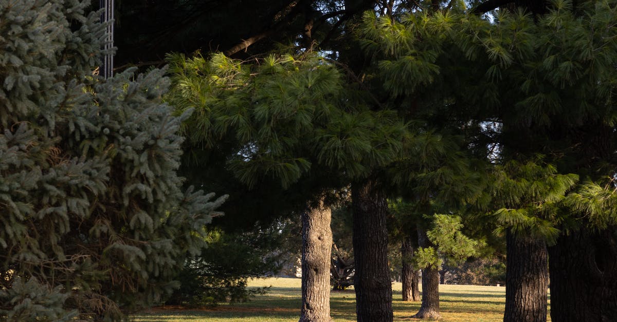 Which Energy Healing Module Is The Most Powerful?