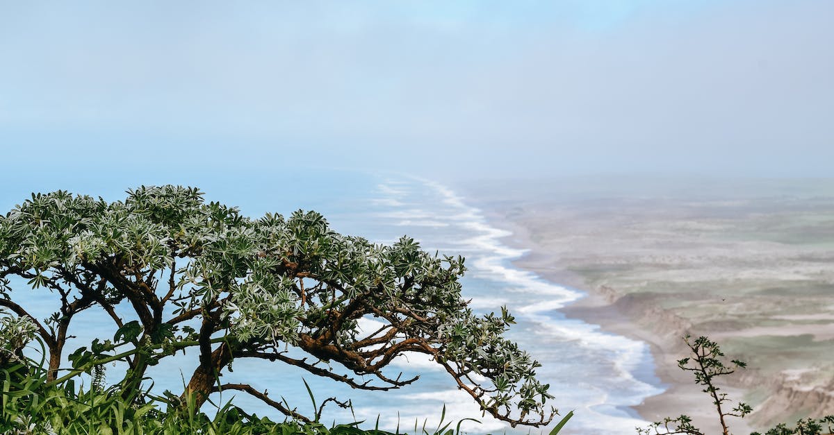 Why Did War Energy Healing Me?