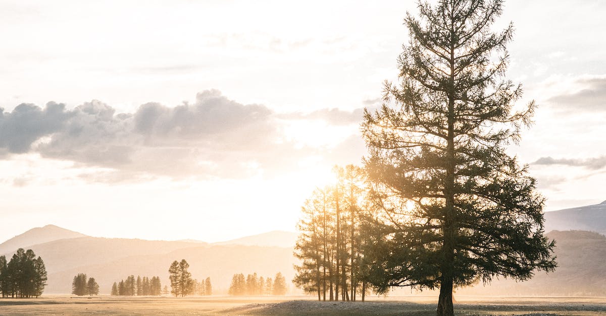 Why Would Energy Healing Hurt?