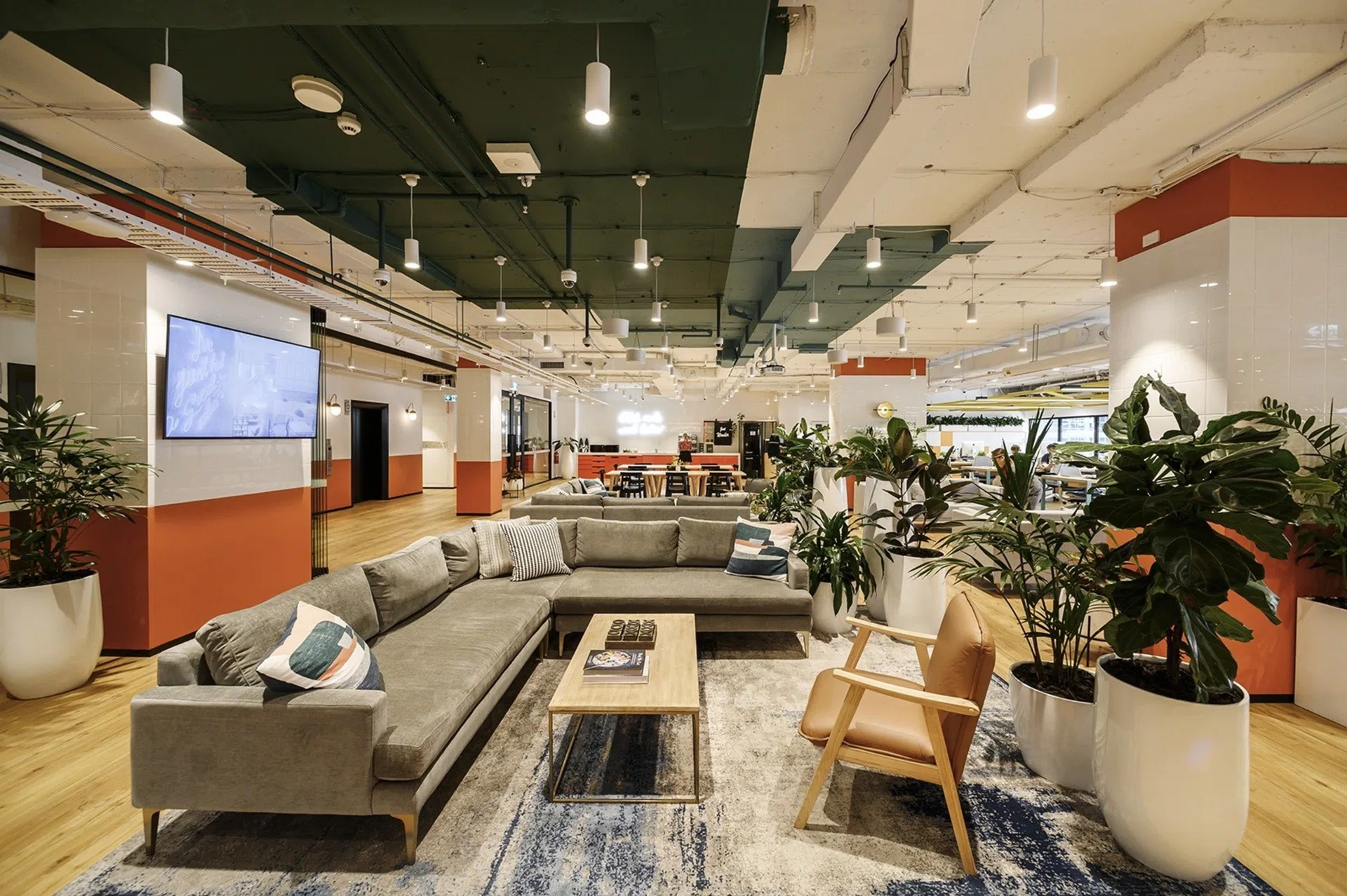 A spacious interior of an office space in Brisbane.