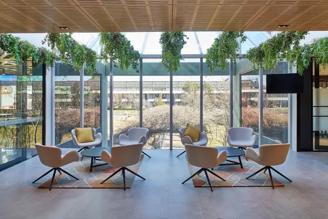 A leafy breakout space within a serviced office in Canberra.