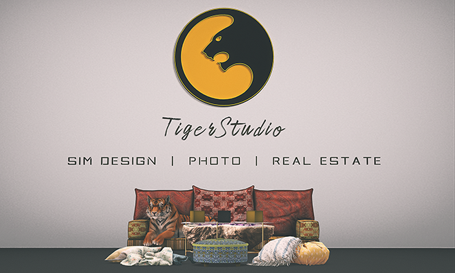 Tiger Studio