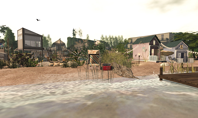 Vintage Beach Cats Hollow