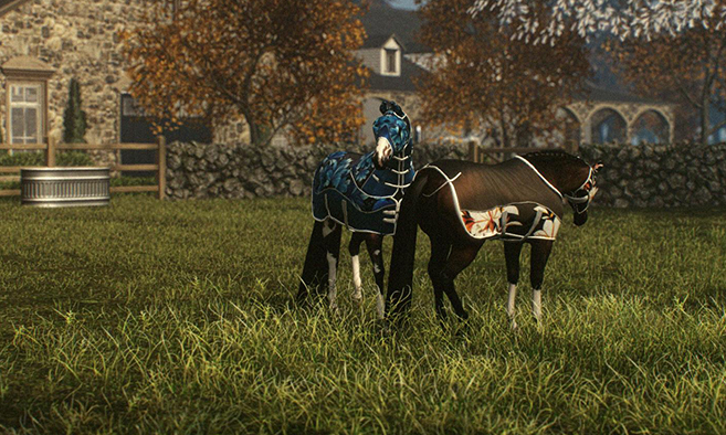 Evergarden Equestrian - Main Stables