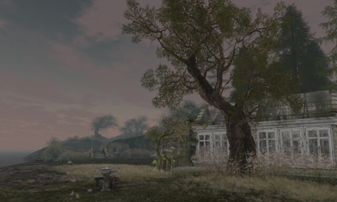 Enchanted Glen