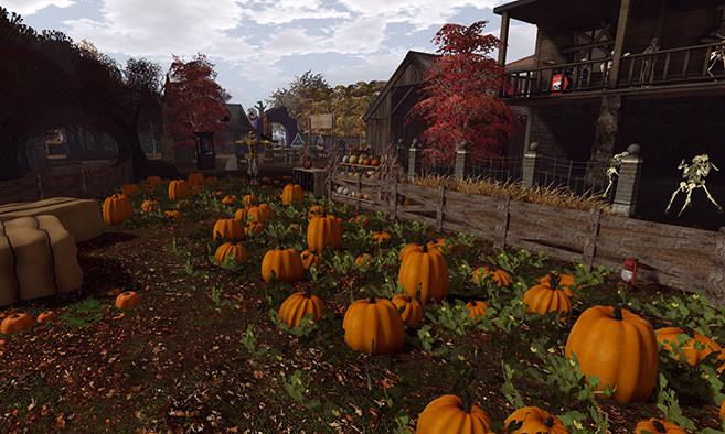 Harmony Hills Pumpkin and Shadows