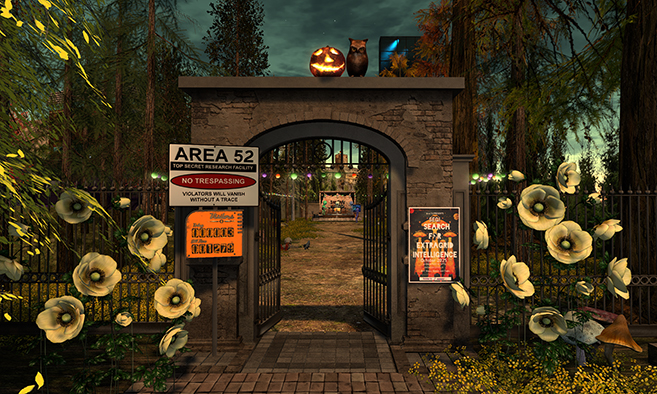 Area 52