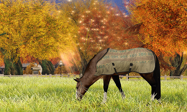Home Sweet Home for Horse Lovers