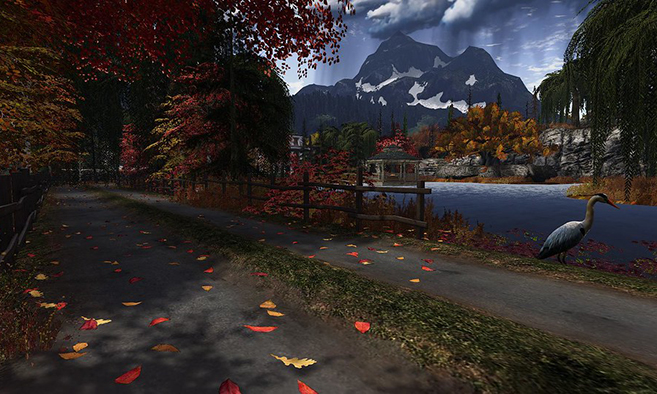 The Autumns of Opossum Lake