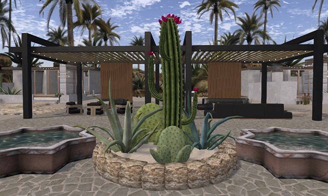 Cheap & Cheerful Rentals