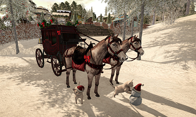 Cats Hollow's Winter Magic