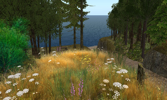 Lakeville Forest Preserve